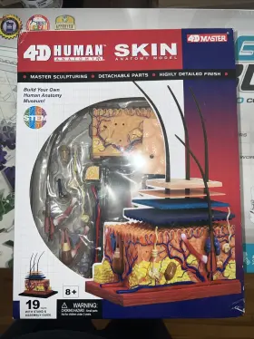 4d Master 894793261047 Human Anatomy Skin Model With Stand Assembly Guide Detachable Parts