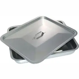 Aaprotools 403524182851 8x10x2.25 Stainless Steel Instrument Tray Organizer Holder With Lid Handle Grip