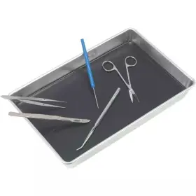 Dspa02-w American Educational Products 13 Inch X 9 Dissecting Pan With Wax Dspa02-w American Educational Products 13 Inch X 9 Dissecting Pan With Wax