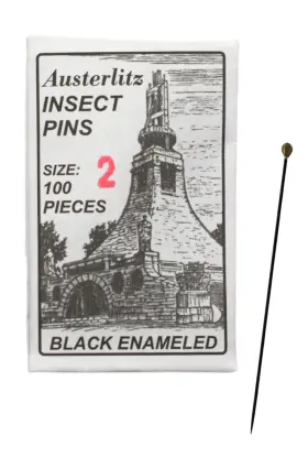 Austerlitz 849230062811 100pk Premium Insect Entomology Dissection Pins - Size 2 Museum Grade