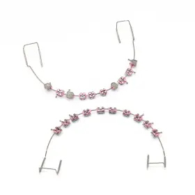 Brand Seaverrs 029082776122 1 Pack Temporary Dental Decorations With Metal Wires Brackets And Pink Brand Seaverrs 029082776122 1 Pack Temporary Dental Decorations With Metal Wires Brackets And Pink