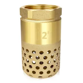 Branded 445002497411 2 Inch Brass Foot Valve Npt Spring Check Mesh Strainer Backflow Preventer