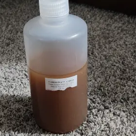 C30910 Carolina Yeast Extract Dextrose Yed 350ml. Melt Pour Sterile Science Lab