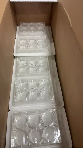 229106 Celltreat 6 Well Tct Plate With Lid Sterile 22/box
