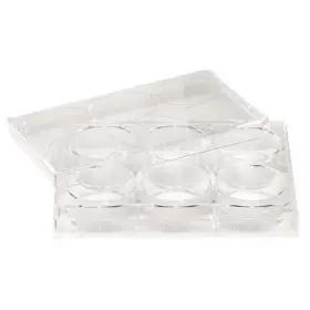 229506 Celltreat Non-treated Plate 6 Well Pk100