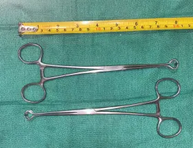 135-190 Demain 34-7030 Jarot Babcock 8 Inch -set Of 2