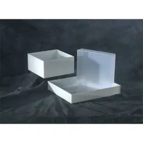 109874 Dynalon Laboratory Tray 3x17.5x15.5 Hdpe