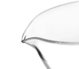 Eisco 849230013127 Evaporating Basin 100ml - Flat Bottom With Spout Borosilicate 3.3 Glass #2