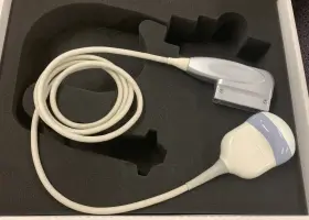 Rab4-8-rs Ge Rab4-9-rs Voluson Probe