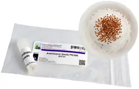 Is3731 Innovating Science Arabidopsis Seeds By Easy To Grow Packet Of 300