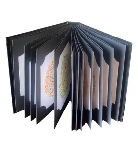 Kanehara 880024008721 Ishihara Color Vision Test Book With 14 Plate User Manual Occluder