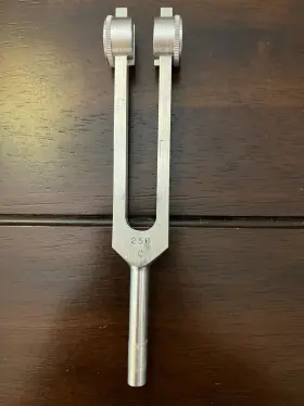 C-256 Lilly Tuning Fork Geneva Illinois
