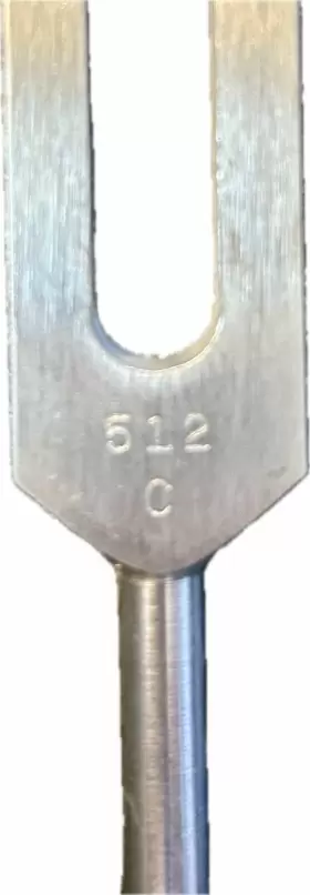 C512 Mccoy Tuning Fork 512 #2