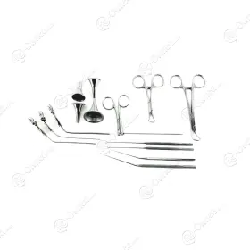 Int02068 Mixed Brands Set Storz Richards V Mueller Pilling Myringotomy Instruments Wagner Case