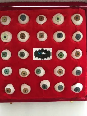Sfg11d1a Ocular Scimeds Prosthetic Eye For Human 25 Eyes Set In Soft Case Prosthesis