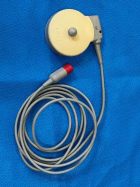 867246 Philips Ultrasound Transducer Paddle -new Openbox -tested-avalon Fm30 50