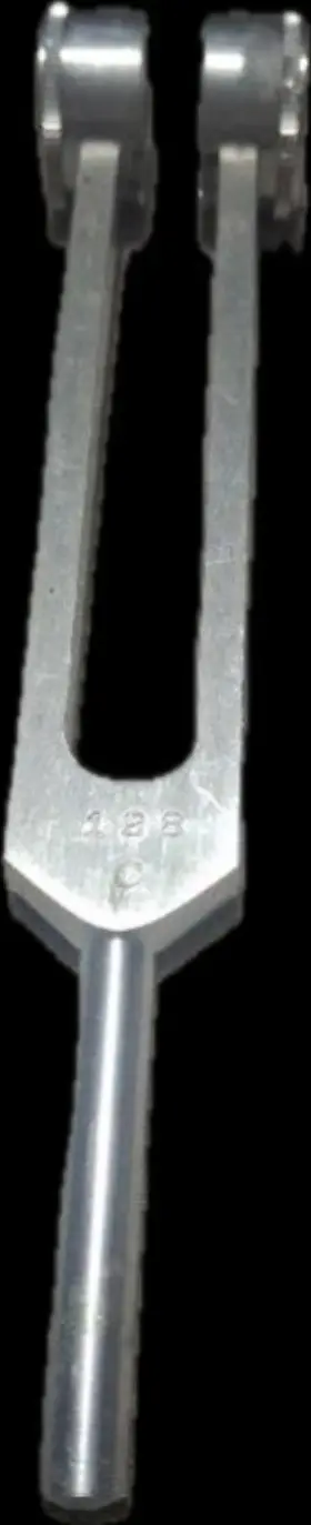 Prestige Medical 786511002565 Tuning Fork 256 Hz Sound Frequency High Quality Aluminum