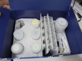13323 Quiagen Dna Mini Kit