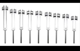 Radical 452214996397 Chakra Soul 9 Earth Star Weighted Set Healing Tuning Forks And Activator In Pouch