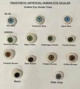 Scmd55 Scimed Artificial Eye Prosthetic Ocular With Box Choose Your Size Shade 3 Day Delivery