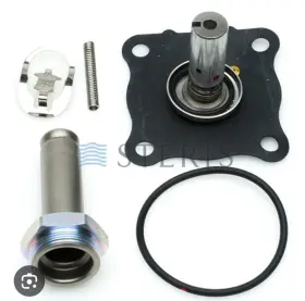 P764326482 Steris Repair Kit Exhaut Manif S3