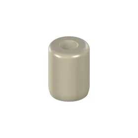 024.4324-04 Straumann Protective Cap Screw-retained Abutment 4.6mm H 6.6mm Peek/tan