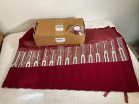 Tr163625 Tarun 15 Weighted Human Organ Healing Tuning Forks For Sound Therapy Free Activator