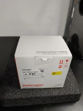 Ib23002 Thermo Fisher 8 Box Invitrogen Iblot 2 Nc Mini Stacks