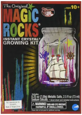 29136 Toysmith Magic Rocks Kit