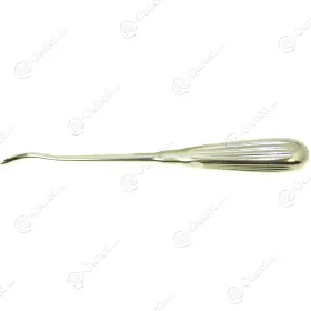 N4540 Unmarked X Aufricht Rasp Curved 12 Teeth 8.5mm 20mm 8in Upstroke