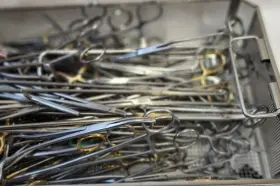 Ch1780 V. Mueller Lot Sale Of Over 100 Surgical Forceps With Stainless Tray #2