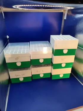 82017-232 Vwr Freezer Storage Box For 15 Ml Tubes - Green 7 Used