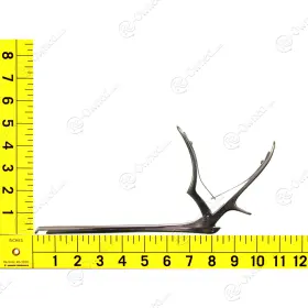 Nl407184 Waldemar Link Orthopaedic X Orthopaedics Spurling Rongeur 4mm 40 Degree Up 8in #2 Nl407184 Waldemar Link Orthopaedic X Orthopaedics Spurling Rongeur 4mm 40 Degree Up 8in #2