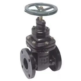 Nrs-rw-gate21 Watts Nrs-rw-gate21/2 Gate Valve Class 200 2-1/2 Inch Flange
