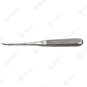 37100 Weck Weiner Antrum Rasp