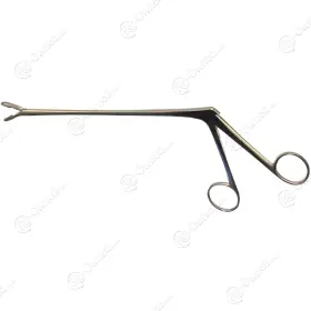 3368 Zimmer Spurling Ronguer