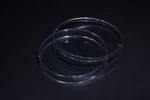 New Box Of 100 Celltreat 229653 Non-treated Sterilized Petri Dish 150MMX20MM. Fixed Price $90.00.