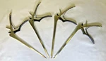 Set Of Ruggles 1-4MM X 9" Ultra Coat Micro Detachable Kerrison Rongeurs Neuro. Fixed Price $1150.00.