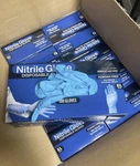 Nitrile Gloves Case (300) Pieces Size Xl X-large Powder Free Blue Boxes. Fixed Price $19.99.
