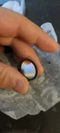 Chroma HQ560/55X 232246 Microscope Filter. Fixed Price $49.99.