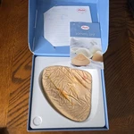 Breast Form Mastectomy Prosthesis Anita Cares Valance Skin 1052X Size 7/90. Fixed Price $39.99.