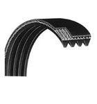 Sportsart Upright Bike Pulley Drive Belt 070105010. Fixed Price $54.99.