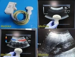 2010 Acuson 6C2 Model 08259645 Convex Array Ultrasound Transducer Probe 22741. Fixed Price $274.99.
