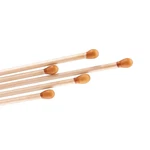 Silver Nitrate Wooden Caustic Sticks Applicators 10 Pack New. Fixed Price $18.99.