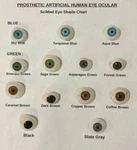 Scimed's Ocular Prostheses Artificial Human Prosthetic Eye & Sterilized Case. Fixed Price $38.99.