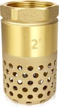 Brass Foot Valve, 2 Inch Npt Spring Mesh Check Female Connection One Way. Fixed Price $43.95.