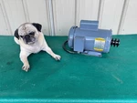 Baldor Industrial Motor Hp - 3450 Rpm 115/230V Phase Cat No. L35151T. Fixed Price $357.00.