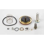 Asco Rebuild Kit 304393. Fixed Price $500.00.
