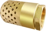 Brass Foot Valve, 2 Inch Npt Spring Mesh Check Female Connection One Way. Fixed Price $49.00.