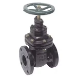 Watts NRS-RW-GATE21/2" Valve, Class 200, 2-1/2 In., Flange. Fixed Price $944.99.